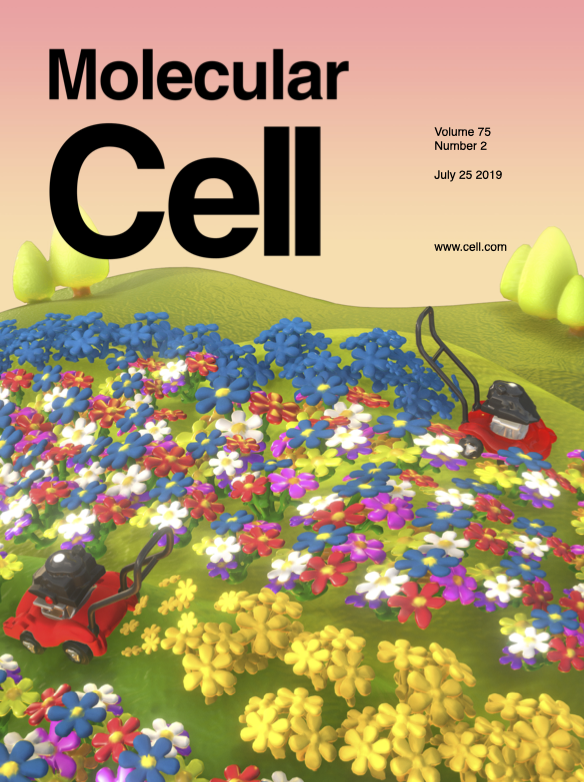 molcell_cover.png